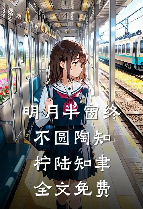 明月半窗终不圆陶知柠陆知聿全文免费