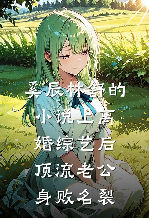 奚辰林舒的小说上离婚综艺后，顶流老公身败名裂