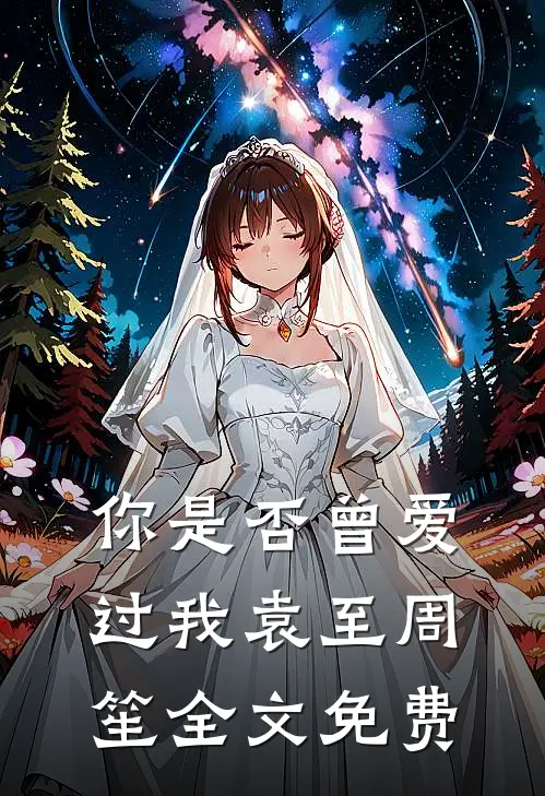 你是否曾爱过我袁至周笙全文免费