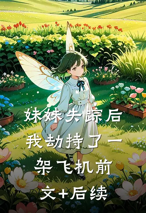 妹妹失踪后，我劫持了一架飞机前文+后续