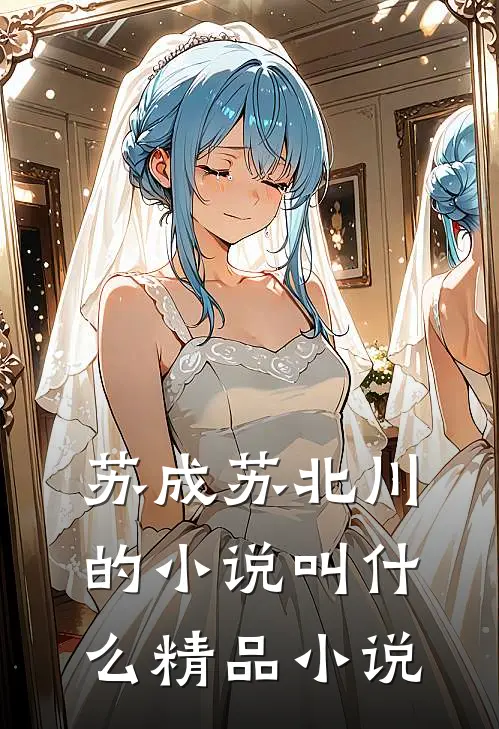苏成苏北川的小说叫什么精品小说