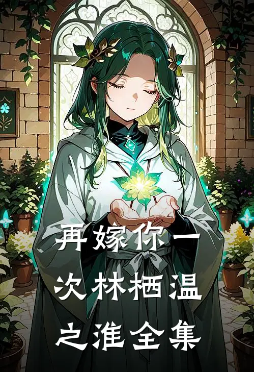 再嫁你一次林栖温之淮 全集