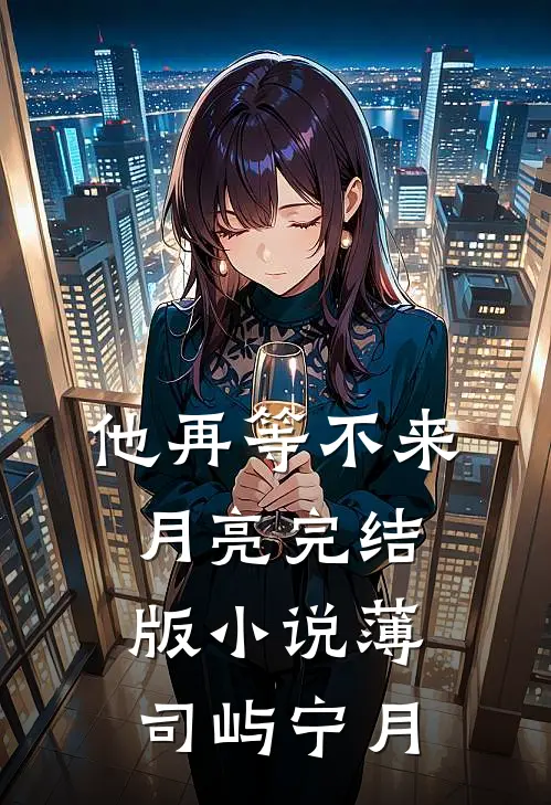 他再等不来月亮完结版小说薄司屿宁月