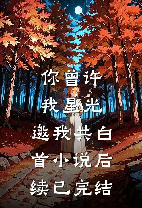 你曾许我星光，邀我共白首小说后续已完结