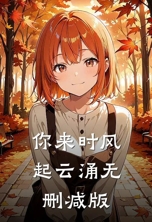 你来时风起云涌无删减版