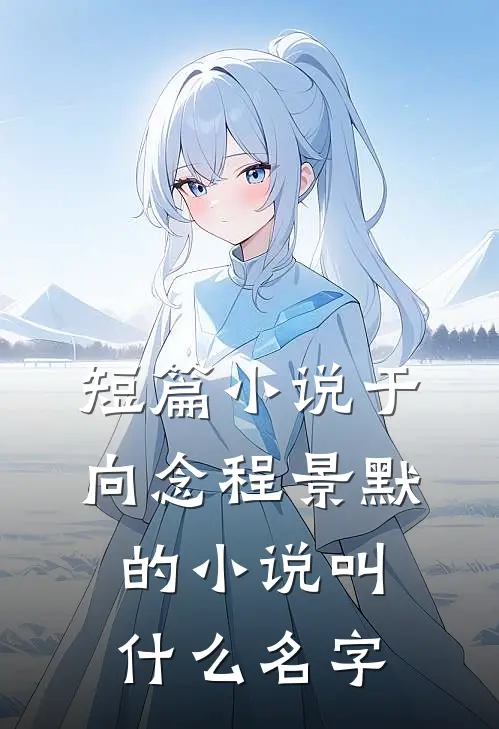 短篇小说于向念程景默的小说叫什么名字