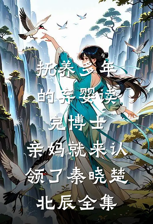 抚养多年的弃婴读完博士，亲妈就来认领了秦晓楚北辰全集