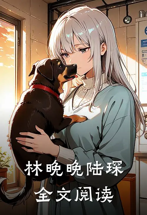 林晚晚陆琛全文阅读