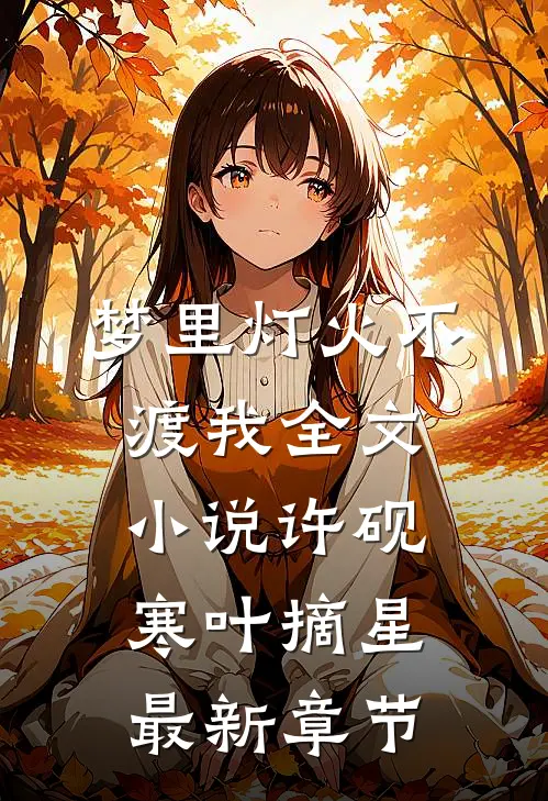梦里灯火不渡我全文小说许砚寒叶摘星最新章节