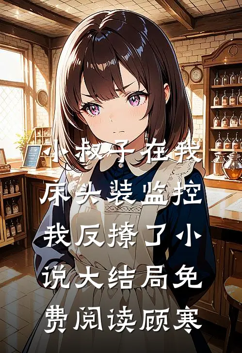 小叔子在我床头装监控，我反撩了小说大结局免费阅读顾寒