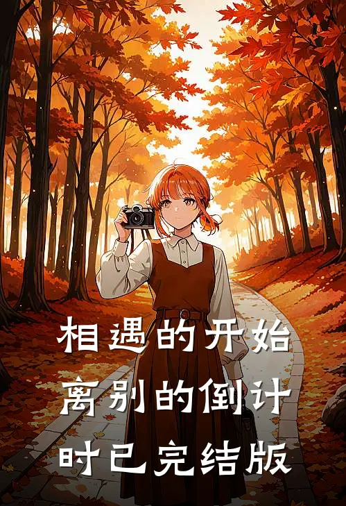 相遇的开始，离别的倒计时已完结版