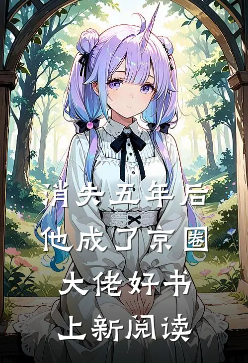 消失五年后，他成了京圈大佬好书上新阅读