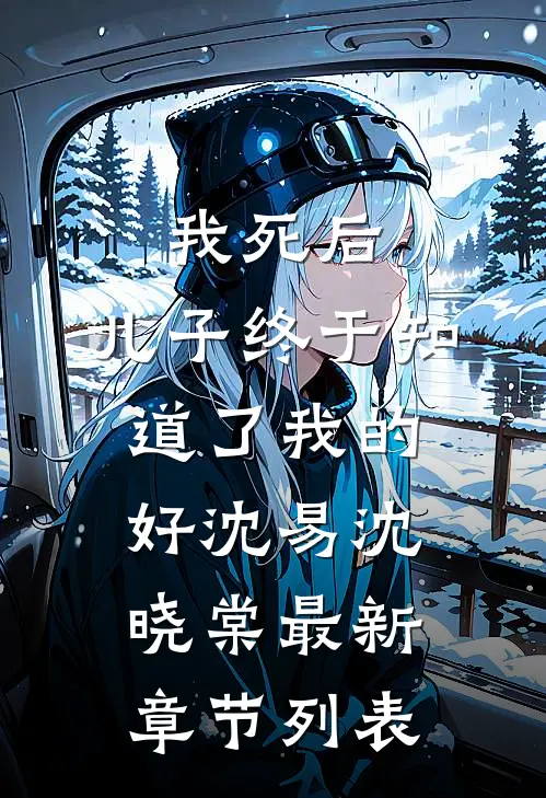 我死后，儿子终于知道了我的好沈易沈晓棠最新章节列表