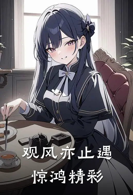 观风亦止遇惊鸿精彩