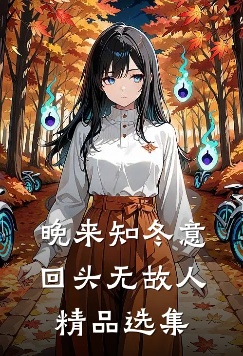 晚来知冬意，回头无故人精品选集