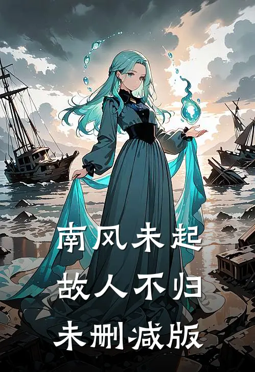南风未起，故人不归未删减版