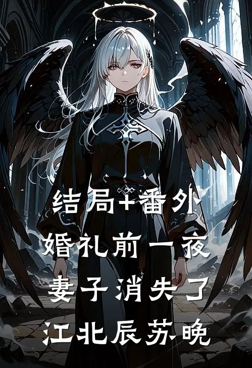 结局+番外婚礼前一夜，妻子消失了江北辰苏晚
