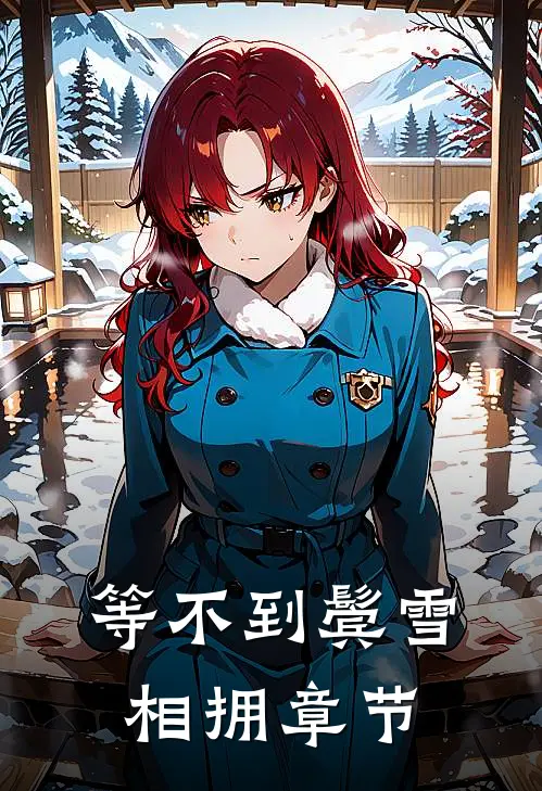 等不到鬓雪相拥章节