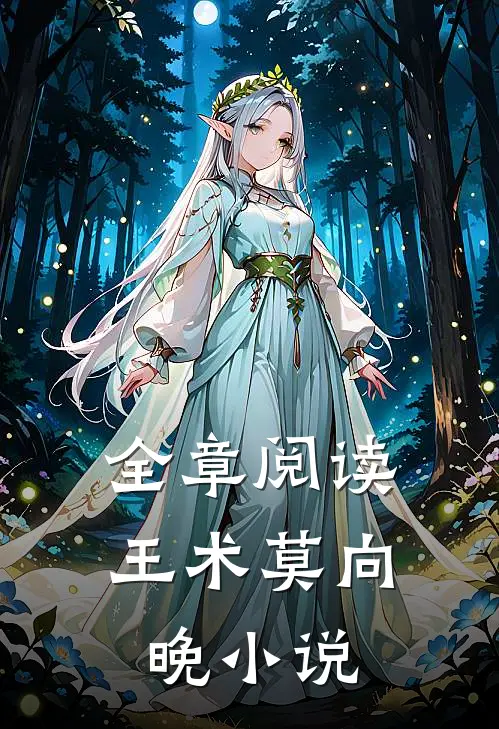 全章阅读王术莫向晚小说