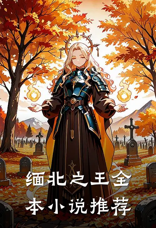 缅北之王全本小说推荐