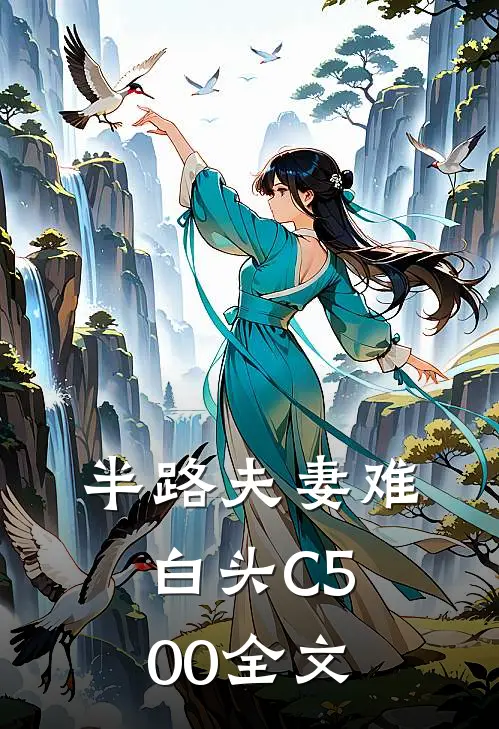半路夫妻难白头C500全文