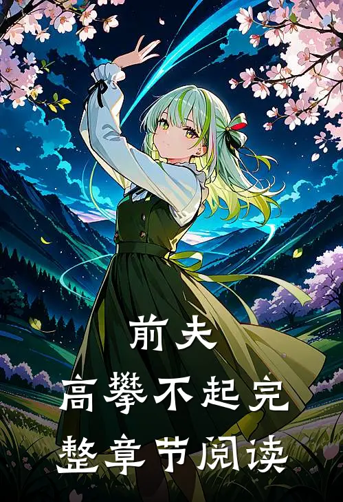 前夫，高攀不起完整章节阅读