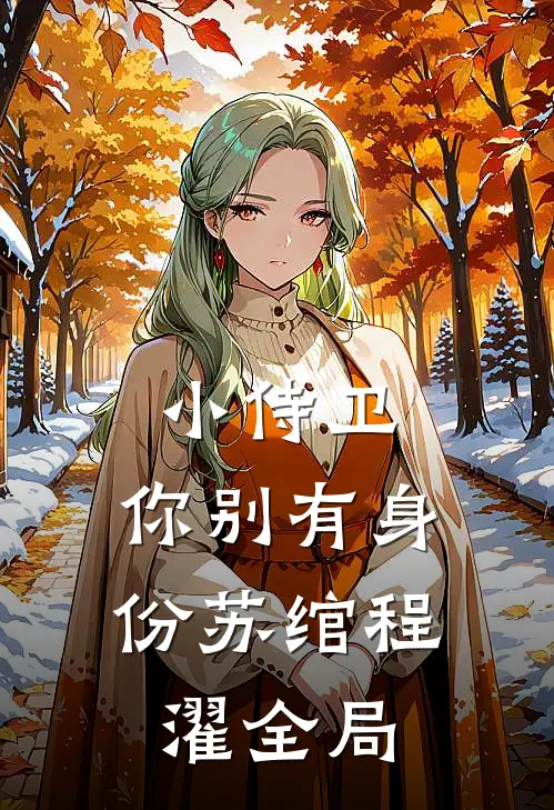 小侍卫，你别有身份苏绾程濯全局