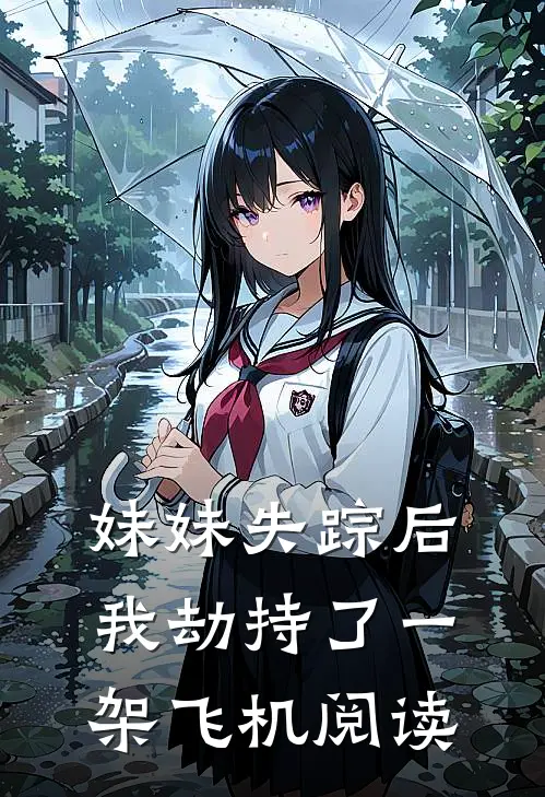 妹妹失踪后，我劫持了一架飞机阅读