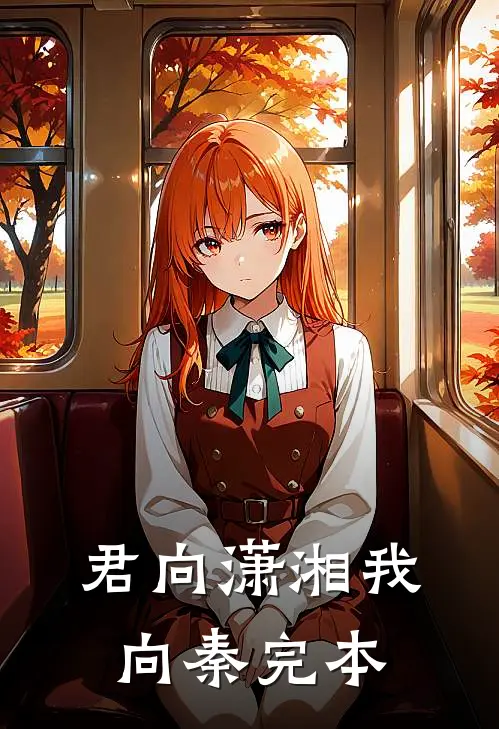 君向潇湘我向秦完本