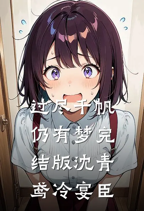 过尽千帆仍有梦完结版沈青鸢冷宴臣