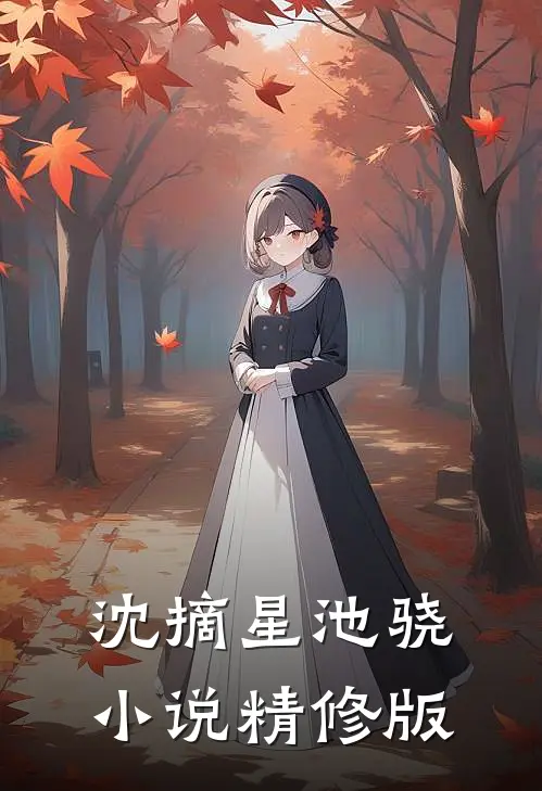 沈摘星池骁小说精修版