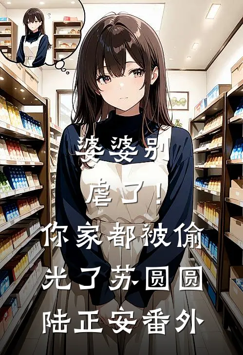 婆婆别虐了！你家都被偷光了苏圆圆陆正安番外