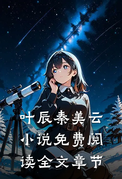 叶辰秦美云小说免费阅读全文章节