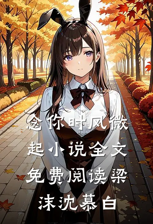 念你时风微起小说全文免费阅读梁沫沈慕白