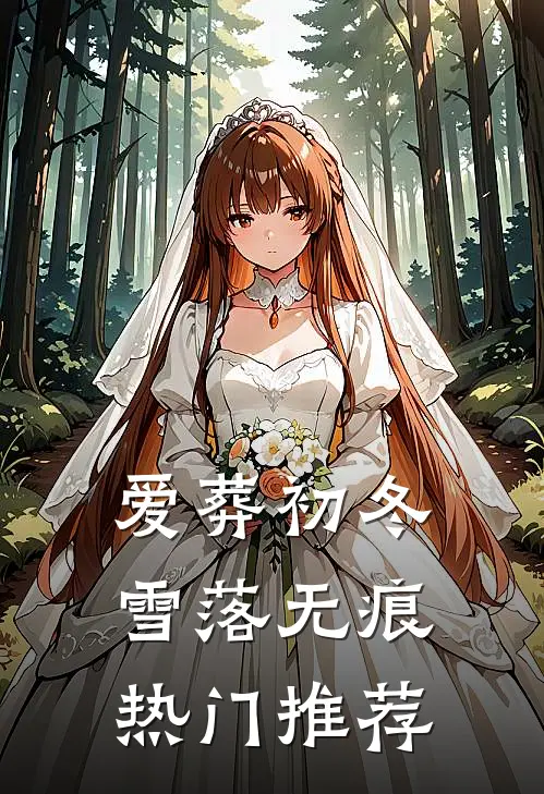 爱葬初冬，雪落无痕热门推荐