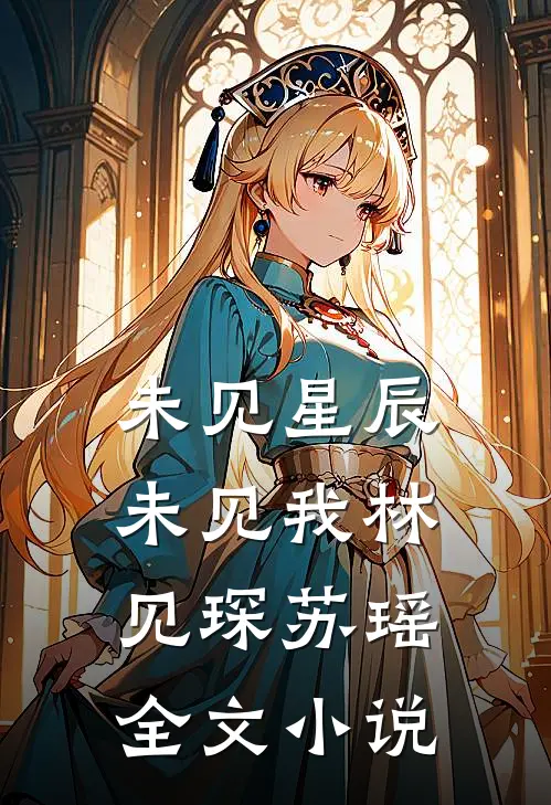 未见星辰未见我林见琛苏瑶全文小说