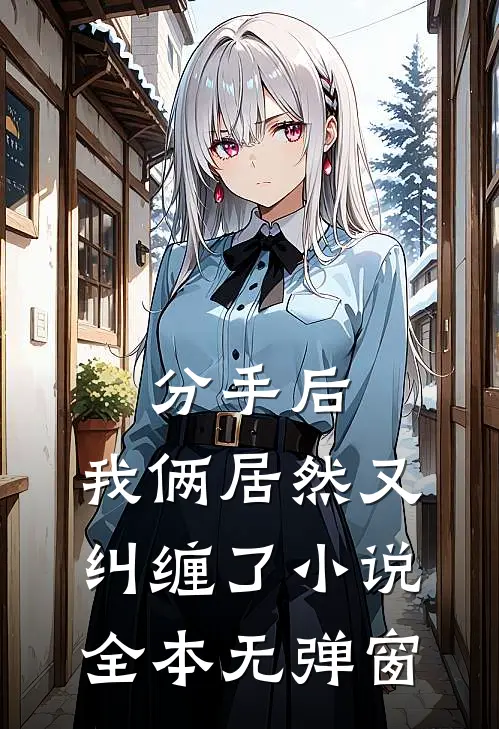 分手后，我俩居然又纠缠了小说全本无弹窗