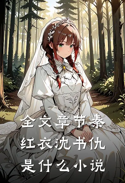 全文章节秦红衣沈书仇是什么小说