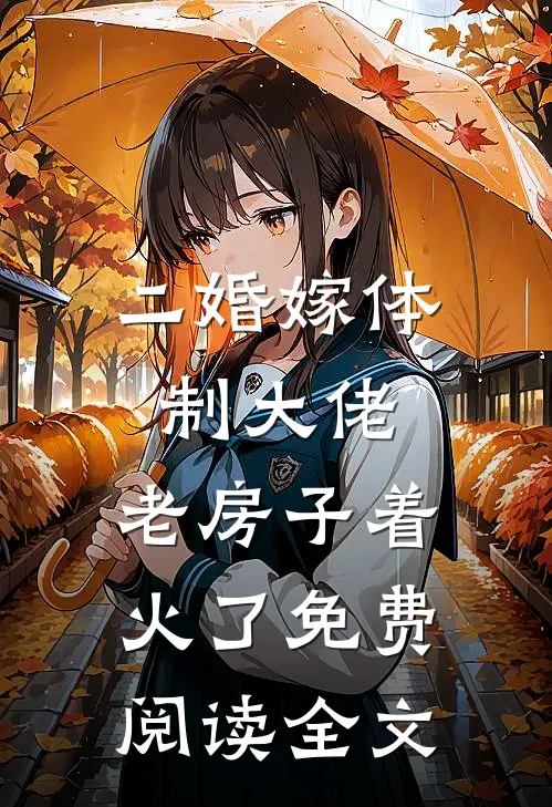 二婚嫁体制大佬,老房子着火了免费阅读全文