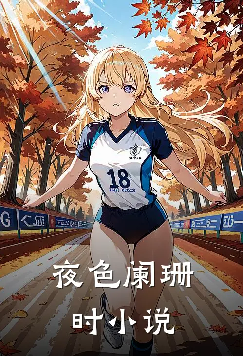 夜色阑珊时小说