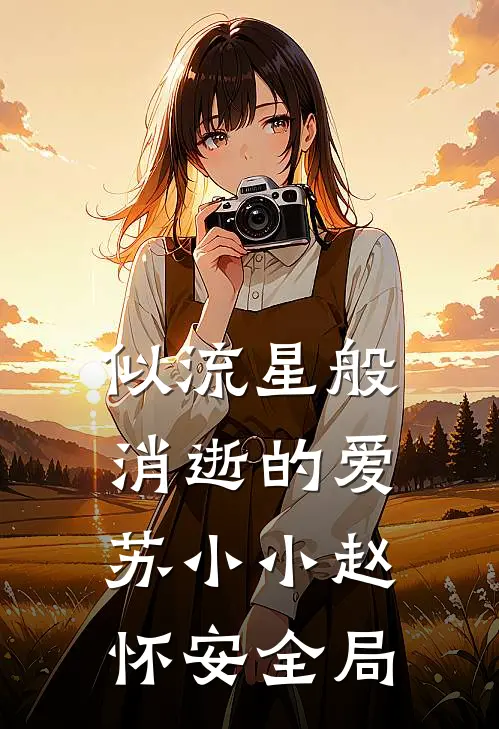 似流星般消逝的爱苏小小赵怀安全局