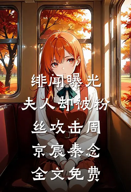 绯闻曝光，夫人却被粉丝攻击周京宸秦念全文免费