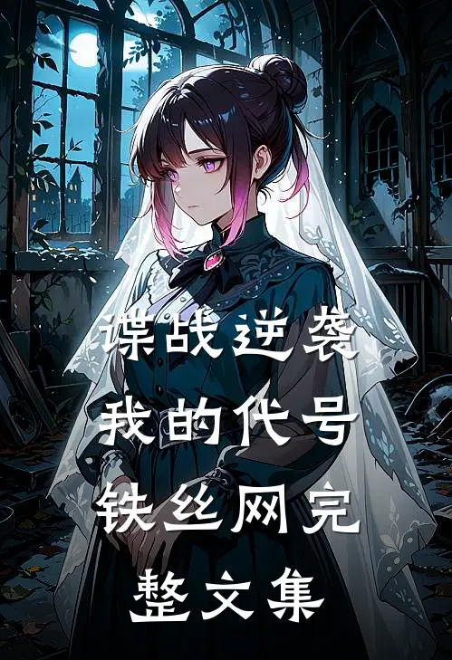 谍战逆袭：我的代号铁丝网完整文集