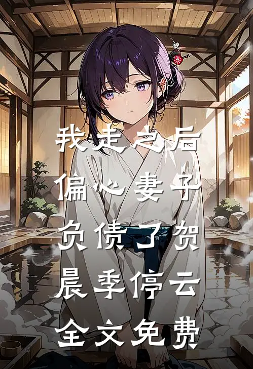 我走之后，偏心妻子负债了贺晨季停云全文免费