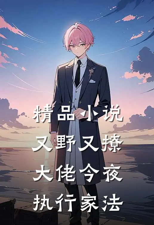 精品小说又野又撩，大佬今夜执行家法