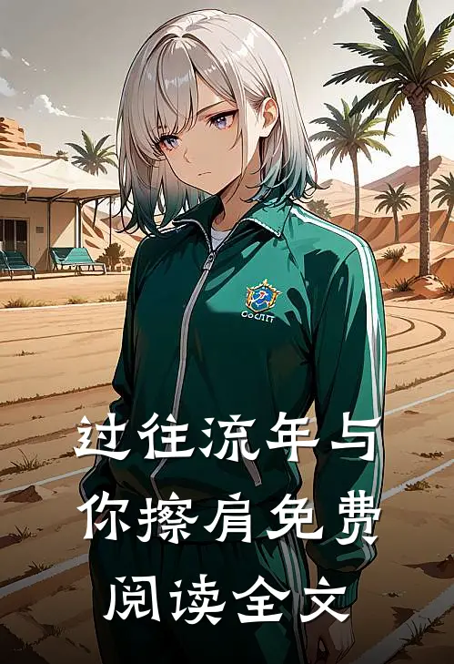 过往流年与你擦肩免费阅读全文