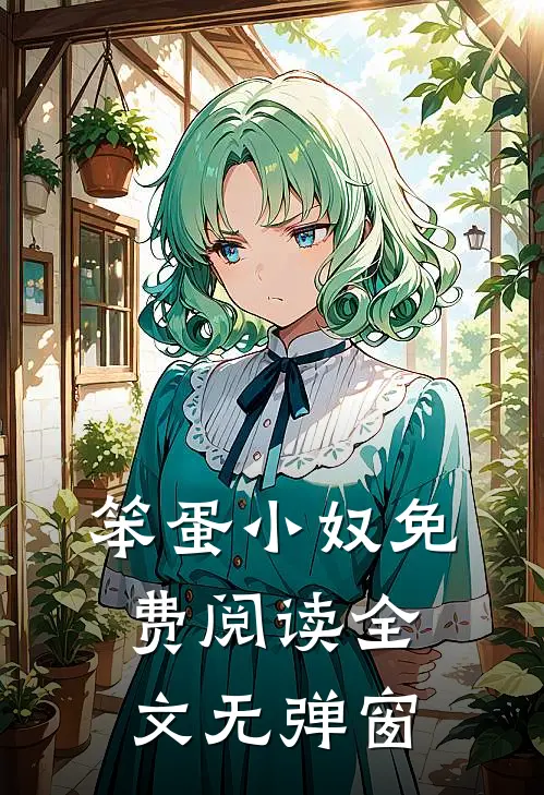 笨蛋小奴免费阅读全文无弹窗