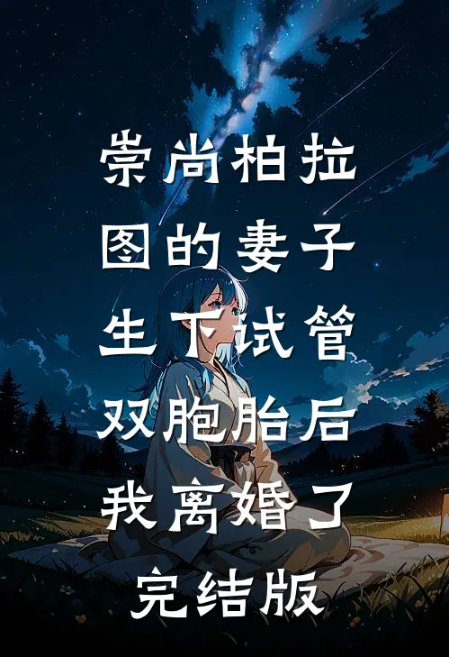 崇尚柏拉图的妻子生下试管双胞胎后，我离婚了完结版