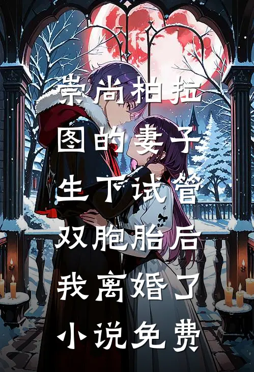 崇尚柏拉图的妻子生下试管双胞胎后，我离婚了小说免费