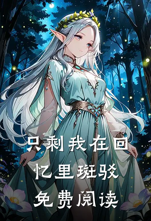 只剩我在回忆里斑驳免费阅读